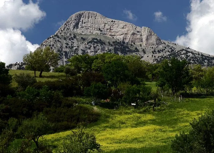 La Cantina Gospodarstwo wiejskie